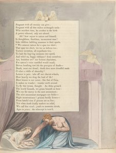 Youngs Night Thoughts、23ページ、私たちは短すぎると自然を責める 作： William Blake